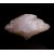 Calcite Moscona M05373